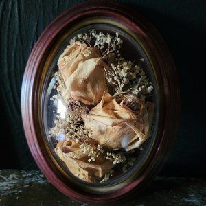 Mounted Freeze Dried Flowers, Framed Preserved Roses
